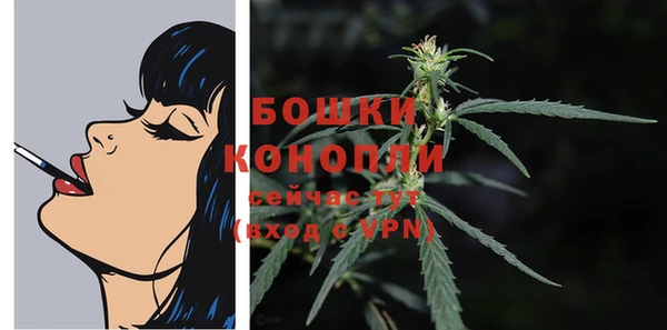 Альфа ПВП Лиски