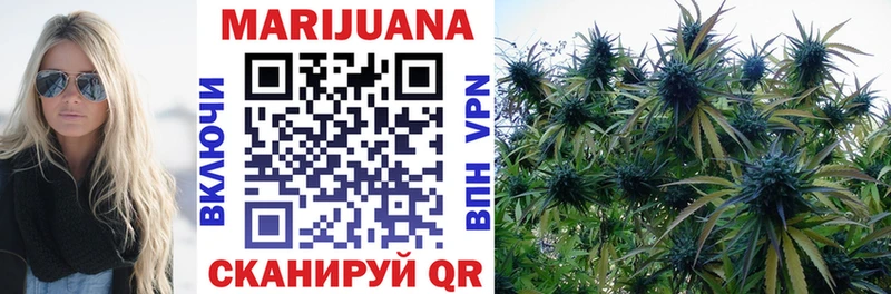 Бошки марихуана Bruce Banner  наркота  Гусиноозёрск 